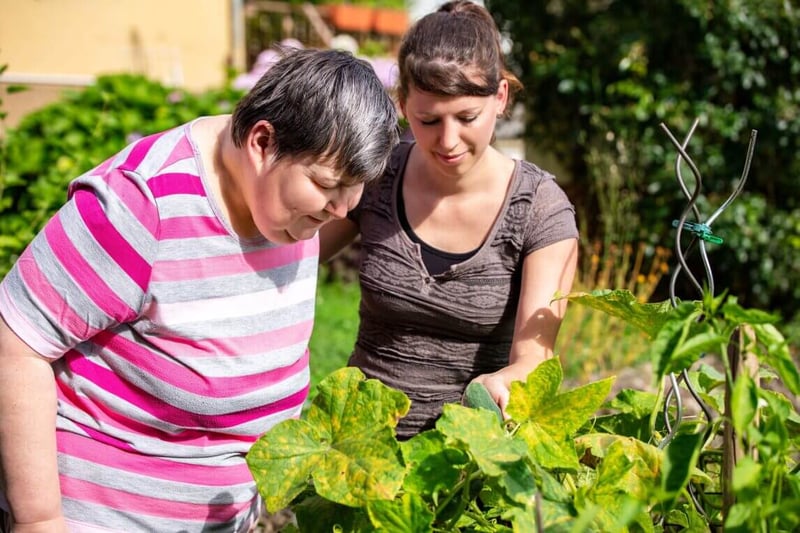 Empowering Unpaid Carers